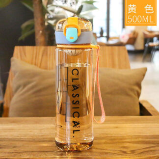 Classic Water Bottle 500ml