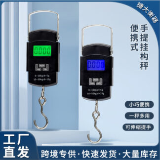 Portable electronic scale